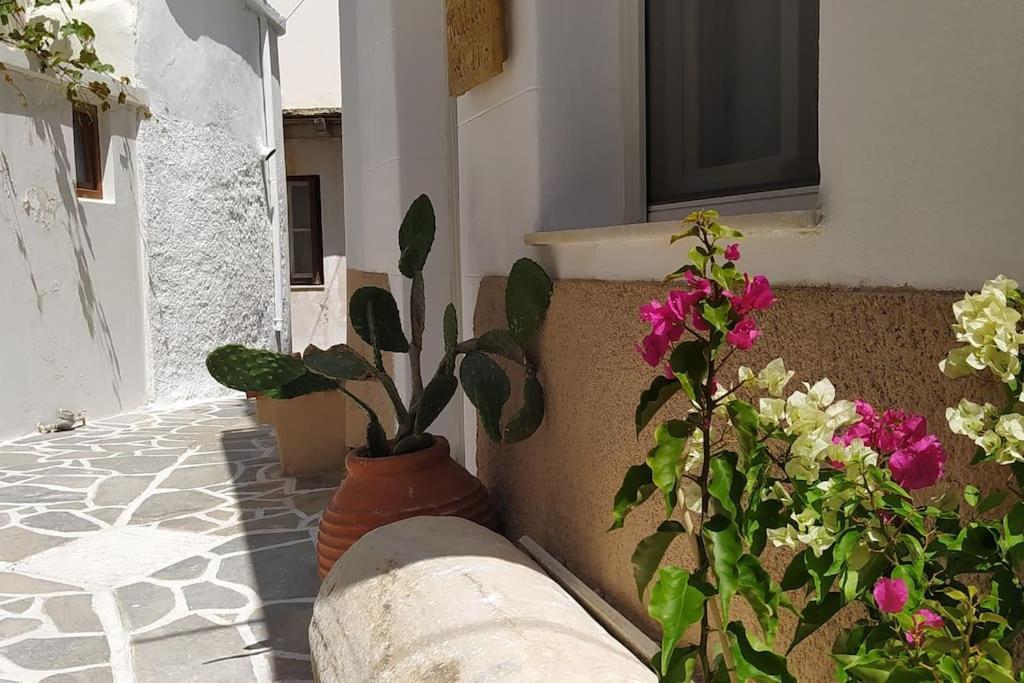 Naxion Esti - Διαμονή Στην Παλιά Χώρα Της Νάξου Villa Naxos City Ngoại thất bức ảnh