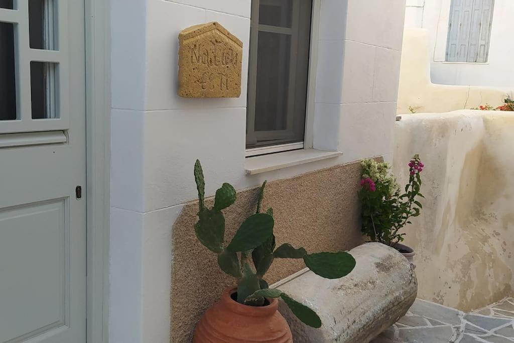 Naxion Esti - Διαμονή Στην Παλιά Χώρα Της Νάξου Villa Naxos City Ngoại thất bức ảnh